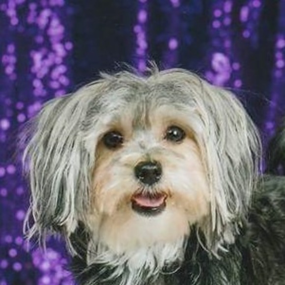 Meet your Posher, Bert - Picture 1 of 1